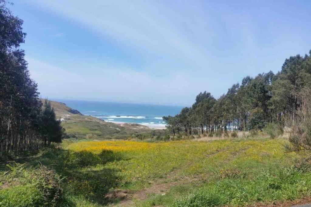 Junto Camino De Santiago,1ª Linea De Playa Daire Finisterre Dış mekan fotoğraf