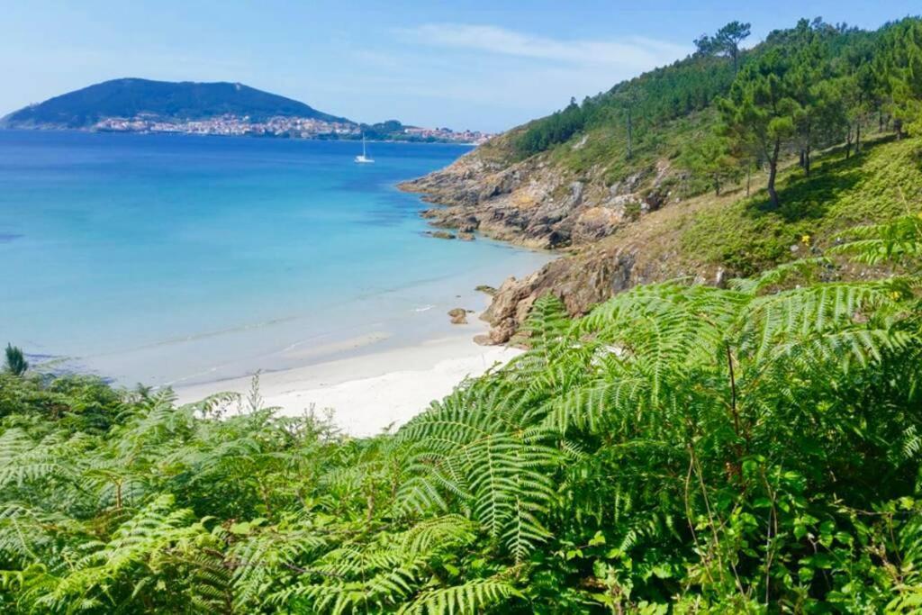 Junto Camino De Santiago,1ª Linea De Playa Daire Finisterre Dış mekan fotoğraf